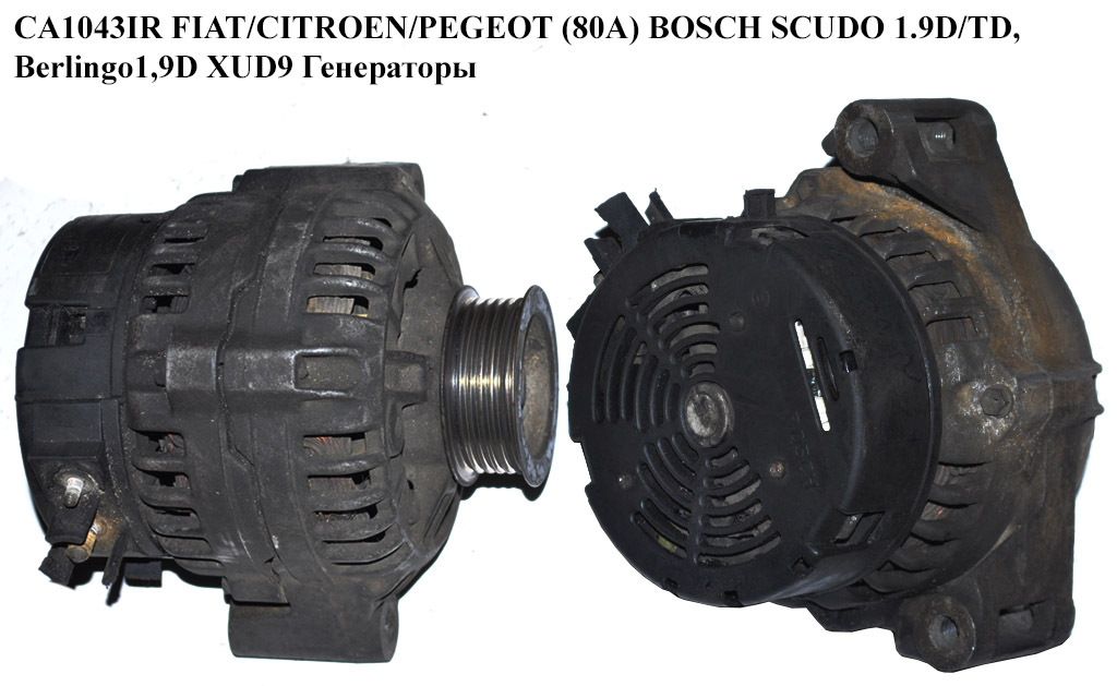 CA1043IR FIAT/CITROEN/PEGEOT (80A) BOSCH SCUDO 1.9D/TD, Berlingo1,9D XUD9 Генератори (A2TB4391, 9617842980, 3140065G00, 57052P, 5705FN, 5705L6, 5705R5, 9621191780, 9624141480, 9631318380, A002TA1994, A002TA1994B, A002TA1994C, A002TA1994D, A002TB4391, A2TA1994, A2TA1994B, A2TA1994C, A2TA1994D, 0123310010, 9617861380, 0123310011, 0123310010, 3140065G00, 57052P, 5705FN, 5705L6, 5705R5, 9617842980)