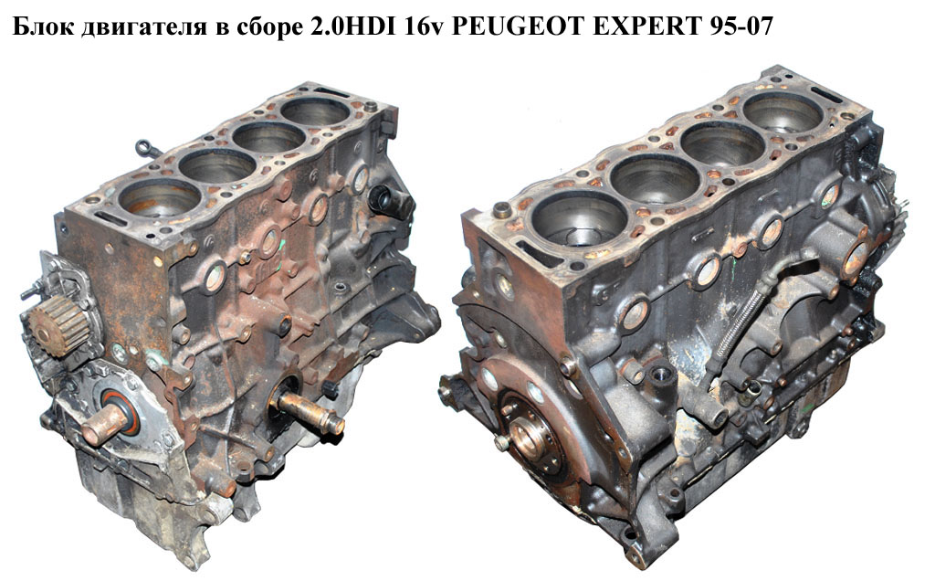 Блок двигуна в зборі 2.0HDI 16v PEUGEOT EXPERT 95-07 (ПЕЖО ЕКСПЕРТ) (RHW)