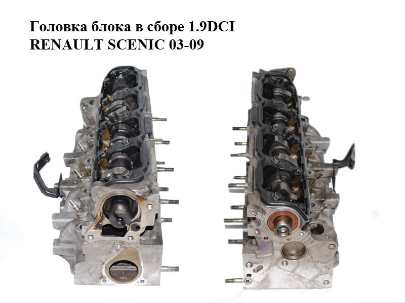 Головка блока в зборі 1.9DCI RENAULT SCENIC 03-09 (РЕНО СЦЕНИК) (F9S05)