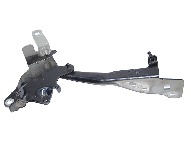 Петля капота ліва RENAULT SCENIC 09-15 (РЕНО СЦЕНІК) (654010004R)