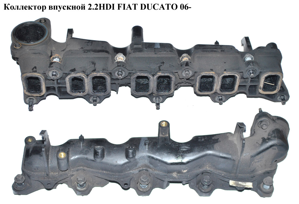 Коллектор впускной пластик 2.2HDI FIAT DUCATO 06- (ФИАТ ДУКАТО) (2S7Q-9424-ВЕ, 1671577, 2S7Q9424ВЕ, 6C1Q9424AB, 6C1Q-9424-AB, 2S7Q9424BC, 2S7Q-9424-BC, 2S7Q9424BD, 2S7Q-9424-BD, 6C1Q9424AA, 6C1Q-9424-AA)