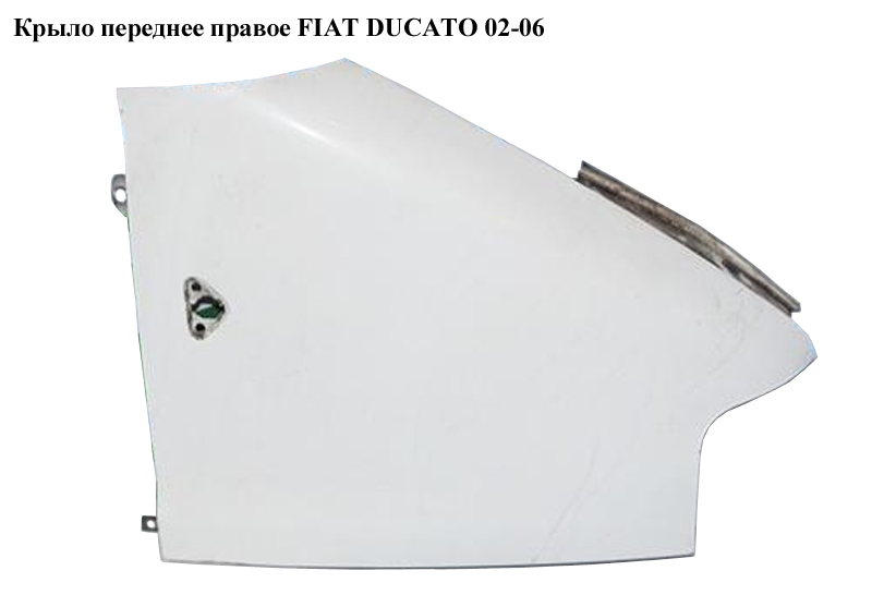 Крило переднє праве FIAT DUCATO 02-06 (ФІАТ ДУКАТО) (7841P5, 7841.P5, 1328784080, 2093312, 570402)