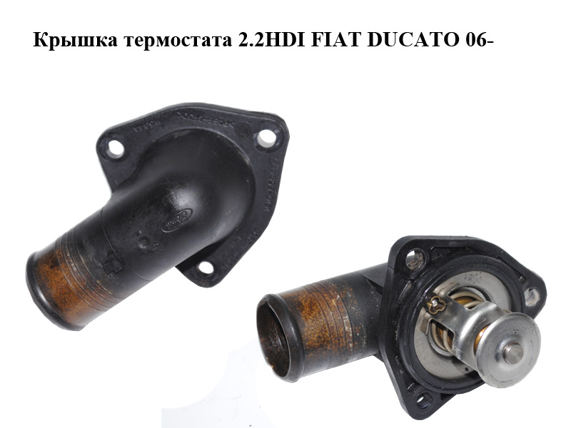 Кришка термостата 2.2HDI FIAT DUCATO 06- (ФІАТ ДУКАТО) (1C1Q-8594-BA, 1C1Q8594BA)
