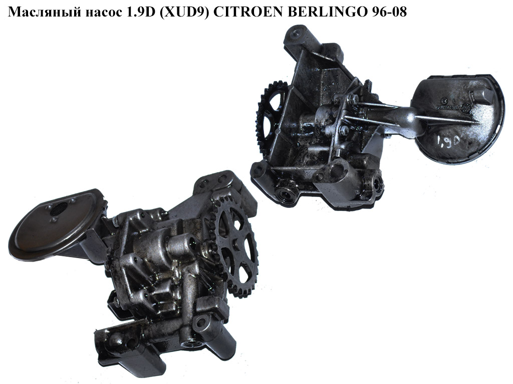 Масляний насос 1.9D (XUD9) 1.9D DW8 CITROEN BERLINGO 96-08 (СИТРОЕН БЕРЛИНГО) (9431292021, 100191, 9562409187,