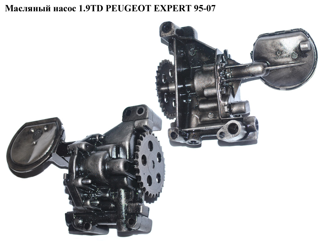 Масляний насос 1.9TD PEUGEOT EXPERT 95-07 (ПЕЖО ЕКСПЕРТ) (9431291021)