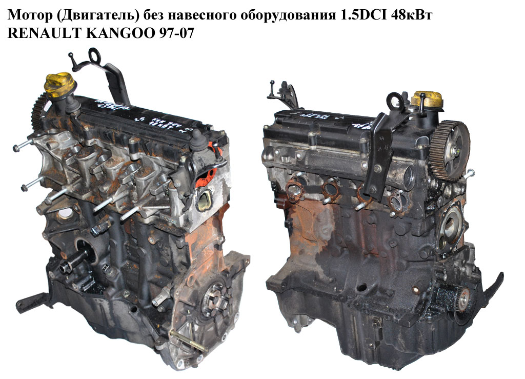 Мотор (Двигун) без навісного обладнання 1.5DCI 48кВт RENAULT KANGOO 97-07 (РЕНО КАНГО) (К9К 704, 8200557644, К9К704, К9К)