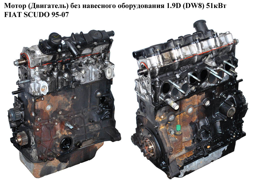 Мотор (Двигатель) без навесного оборудования 1.9D (DW8) 51кВт FIAT SCUDO 95-07 (ФИАТ СКУДО) (WJY)