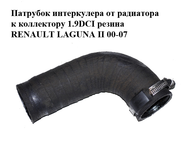 Патрубок інтеркулера від радіатора до колектора 1.9DCI гума RENAULT LAGUNA II 00-07 (РЕНО ЛАГУНА) (707810100)