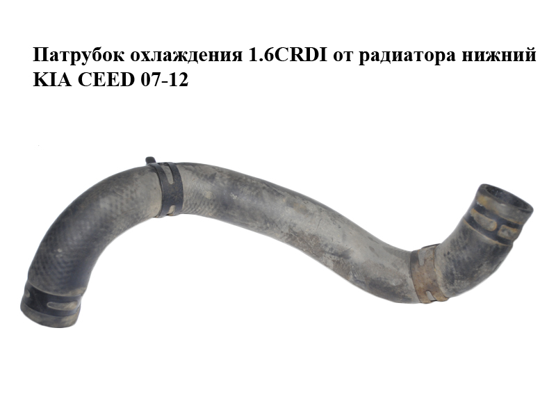 Патрубок охлаждения 1.6CRDI от радиатора нижний KIA CEED 07-12 (КИА СИД) (254122R600)