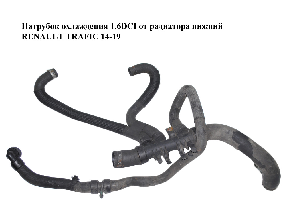 Патрубок охолодження 1.6DCI від радіатора нижній RENAULT TRAFIC 14-19 (РЕНО ТРАФІК) (215010400R)