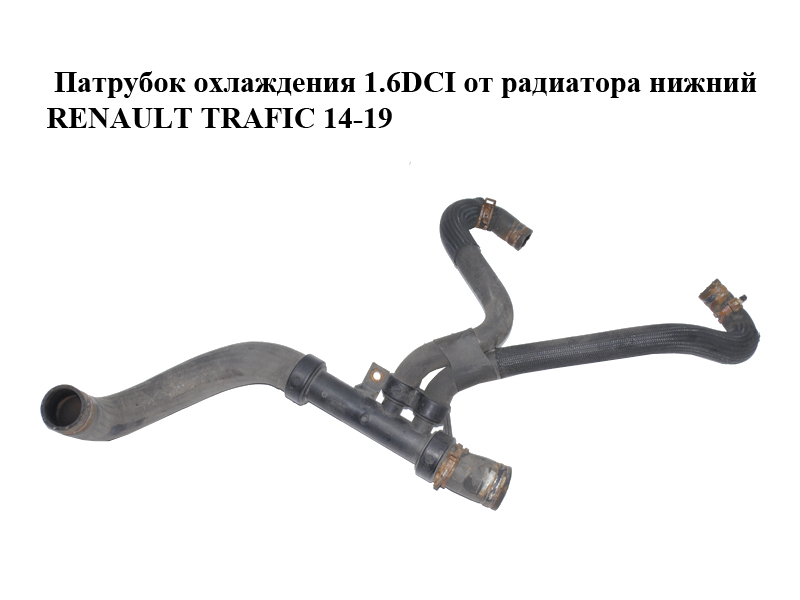 Патрубок охолодження 1.6DCI від радіатора нижній RENAULT TRAFIC 14-19 (РЕНО ТРАФІК) (215039361R, S6000304)