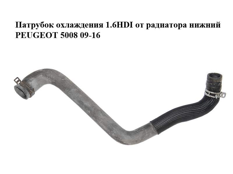 Патрубок охолодження 1.6HDI від радіатора нижній PEUGEOT 5008 09-16 (ПЕЖО 5008) (1351RE)