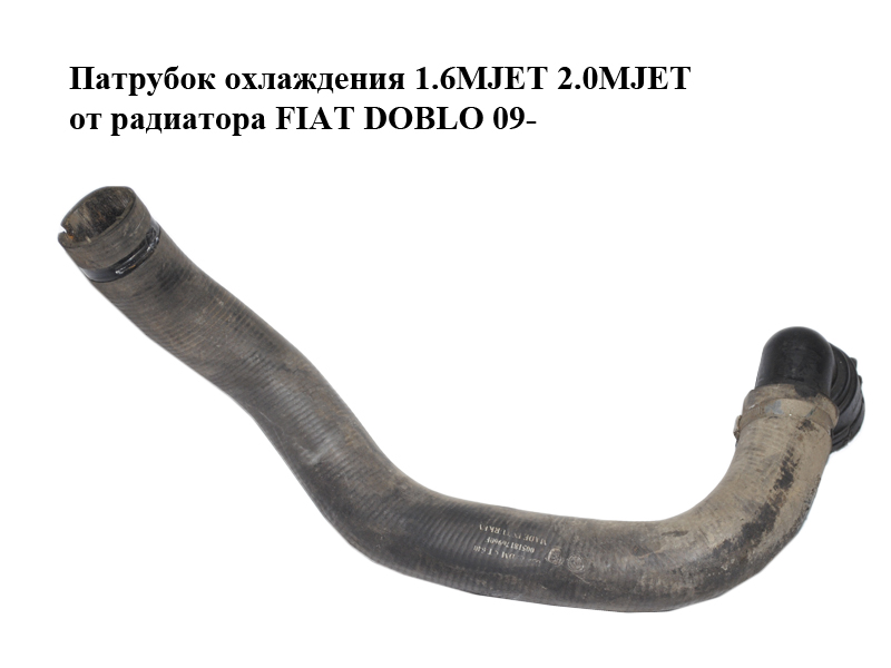 Патрубок охолодження 1.6MJET 2.0MJET від радіатора FIAT DOBLO 09- (ФІАТ ДОБЛО) (51817696)