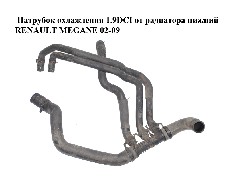 Патрубок охлаждения 1.9DCI от радиатора нижний RENAULT MEGANE 02-09 (РЕНО МЕГАН) (8200170888)