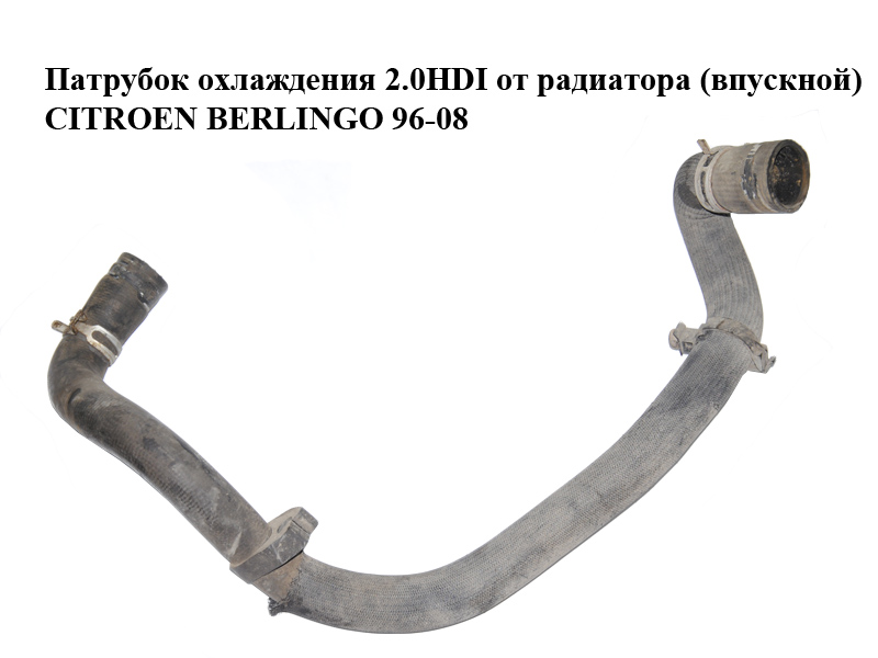 Патрубок охолодження 2.0HDI від радіатора (впускний) CITROEN BERLINGO 96-08 (СИТРОЕН БЕРЛИНГО) (1343AX)