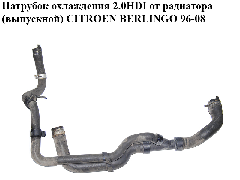 Патрубок охлаждения 2.0HDI от радиатора (выпускной) CITROEN BERLINGO 96-08 (СИТРОЕН БЕРЛИНГО) (1351Z1)