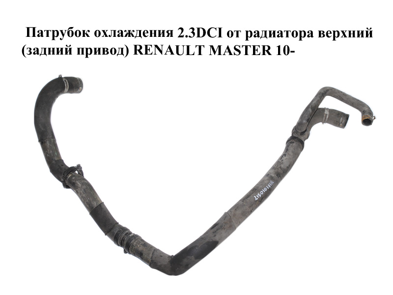 Патрубок охлаждения 2.3DCI от радиатора верхний (задний привод) RENAULT MASTER 10-(РЕНО МАСТЕР) (215010161R)