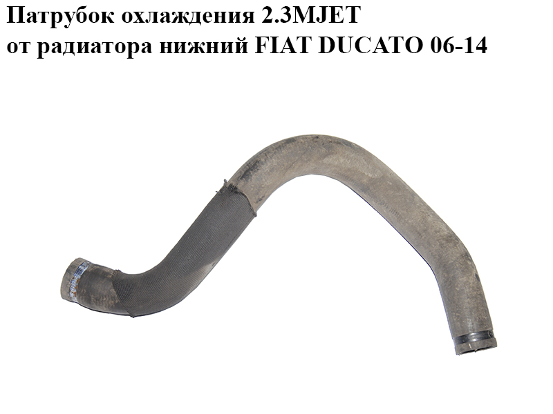 Патрубок охолодження 2.3MJET від радіатора нижній FIAT DUCATO 06-14 (ФІАТ ДУКАТО) (1342722080)