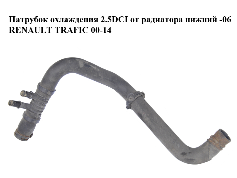 Патрубок охолодження 2.5DCI від радіатора нижній -06 RENAULT TRAFIC 00-14 (РЕНО ТРАФИК) (800303215B, 800303215)