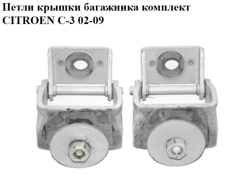 Петлі кришки багажника комплект CITROEN C-3 02-09 (СИТРОЕН Ц-3) (861375, 8613.75)