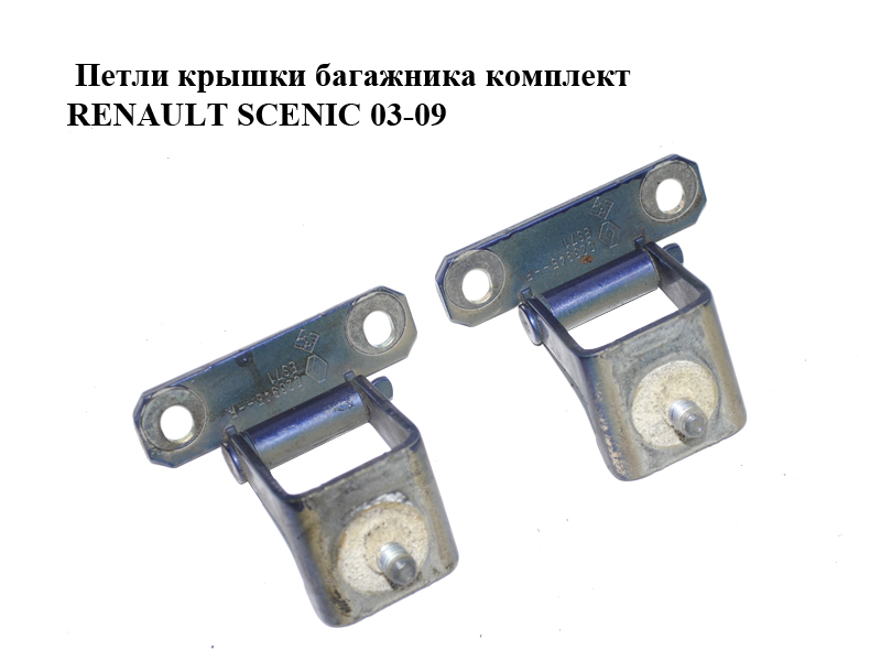 Петлі кришки багажника комплект RENAULT SCENIC 03-09 (РЕНО СЦЕНИК) (8200023945)
