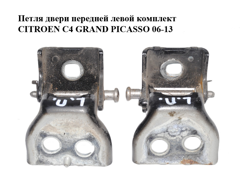 Петля дверей передніх лівих комплект CITROEN C4 GRAND PICASSO 06-13 (СІТРОЕН С4 ГРАНД ПІКАССО) (9035V4, 9035V3)