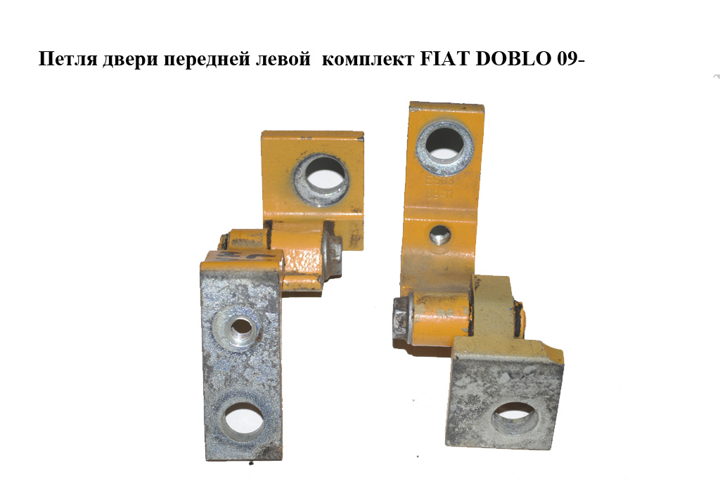 Петля дверей передніх лівих комплект FIAT DOBLO 09- (ФІАТ ДОБЛО) (51931795, 51931796)