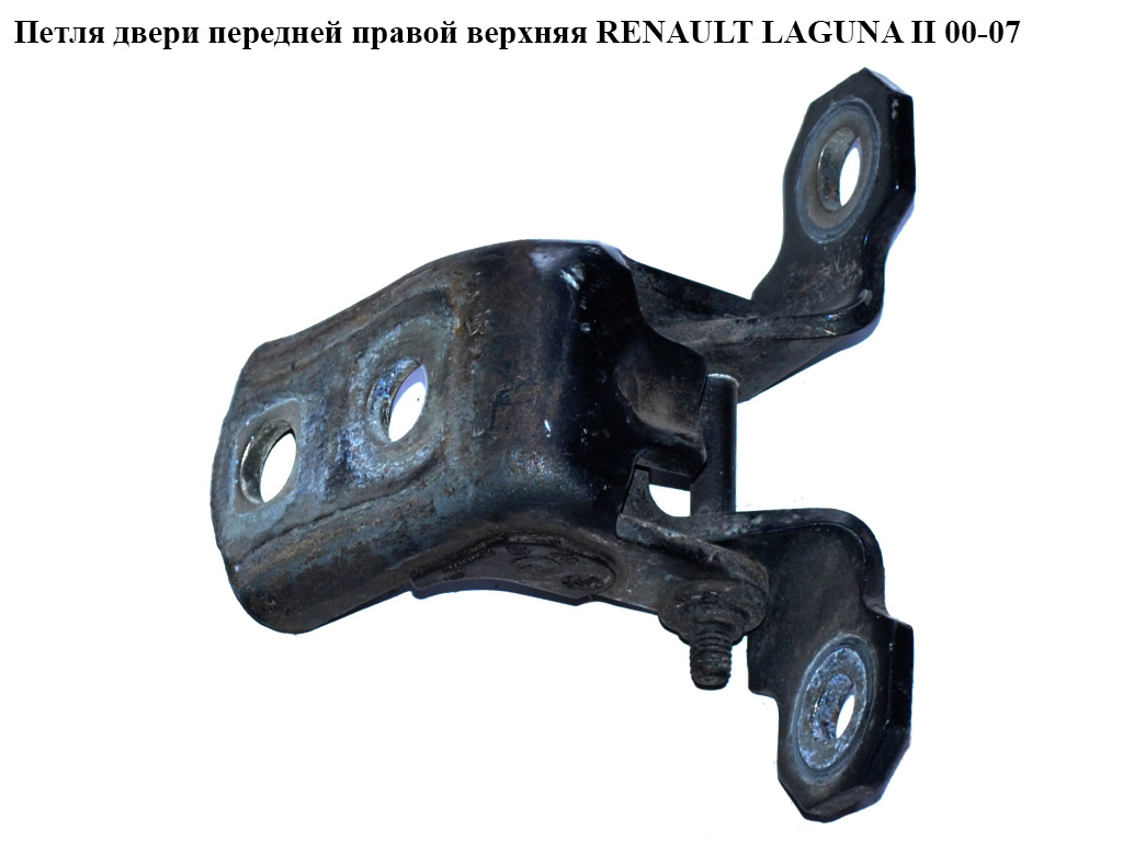 Петля передніх правих дверей RENAULT LAGUNA II 00-07 (РЕНО ЛАГУНА) (7701206969)