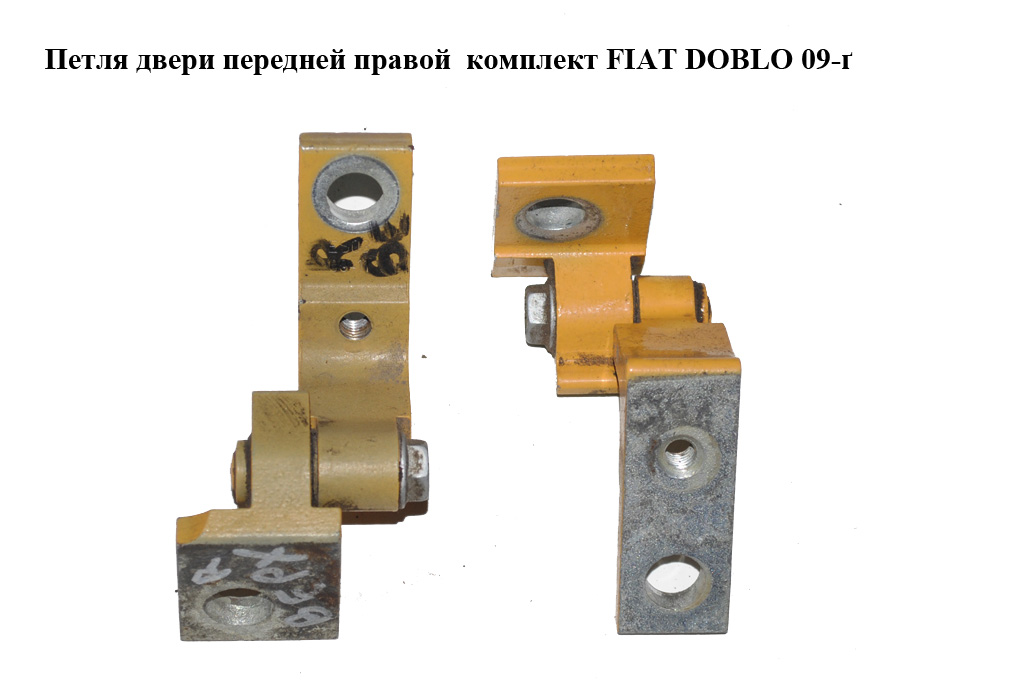 Петля дверей передніх правих комплект FIAT DOBLO 09- (ФІАТ ДОБЛО) (51931793, 51931794)