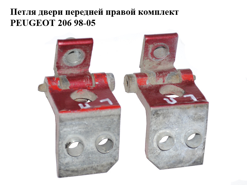 Петля дверей передньої правої комплект PEUGEOT 206 98-05 (ПЕЖО 206) (9035A7, 9035A8)