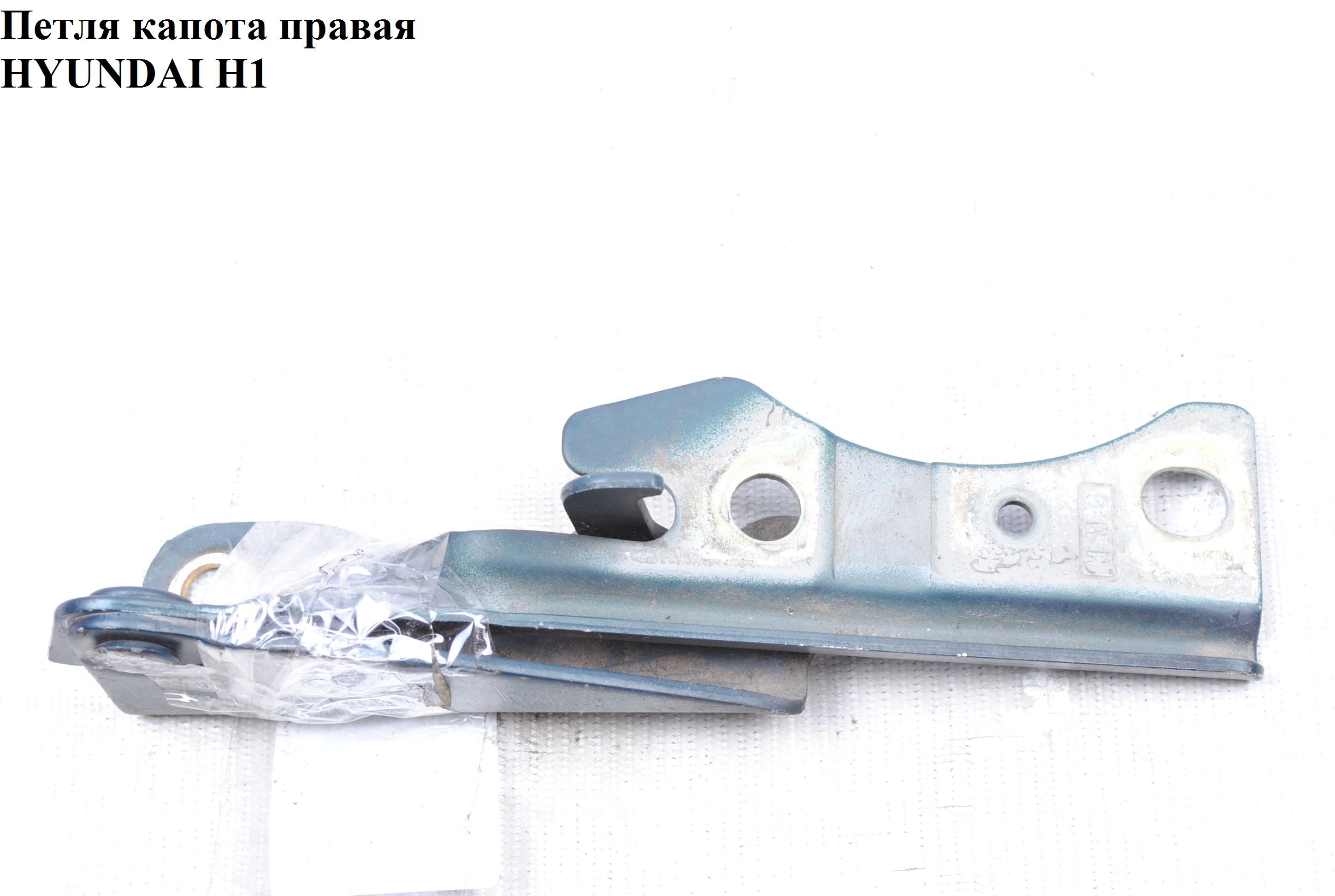Петля капота права HYUNDAI H1 97-04 (ХУНДАЙ H1) (791204A000, 79120-4А000)