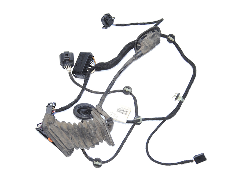 Проводка двері задньої лівої VOLKSWAGEN PASSAT B6 05-10 (ФОЛЬКСВАГЕН ПАССАТ В6) (3C4971693ED, 1K0959843C)