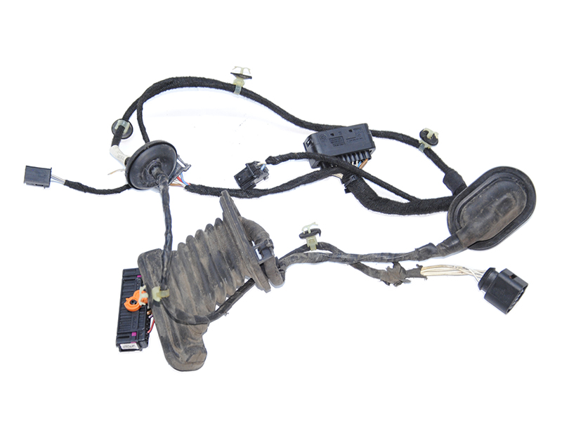 Проводка двери задней правой VOLKSWAGEN PASSAT B6 05-10 (ФОЛЬКСВАГЕН ПАССАТ В6) (3C4971694ED, 1K0959843C)