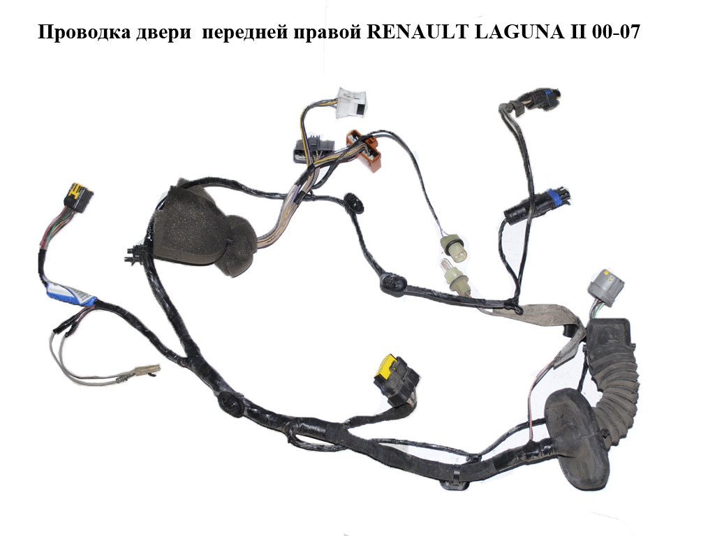 Проводка дверей передніх правих RENAULT LAGUNA II 00-07 (РЕНО ЛАГУНА) (8200066269)