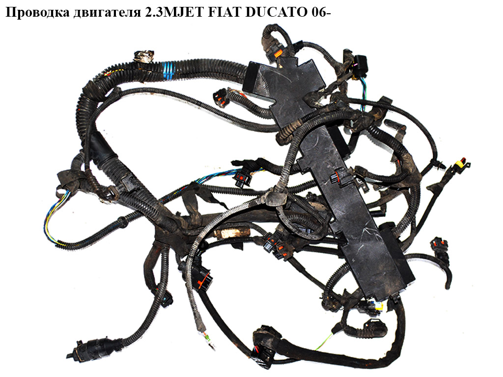 Проводка двигателя 2.3МJET FIAT DUCATO 06- (ФИАТ ДУКАТО) (1350938080)
