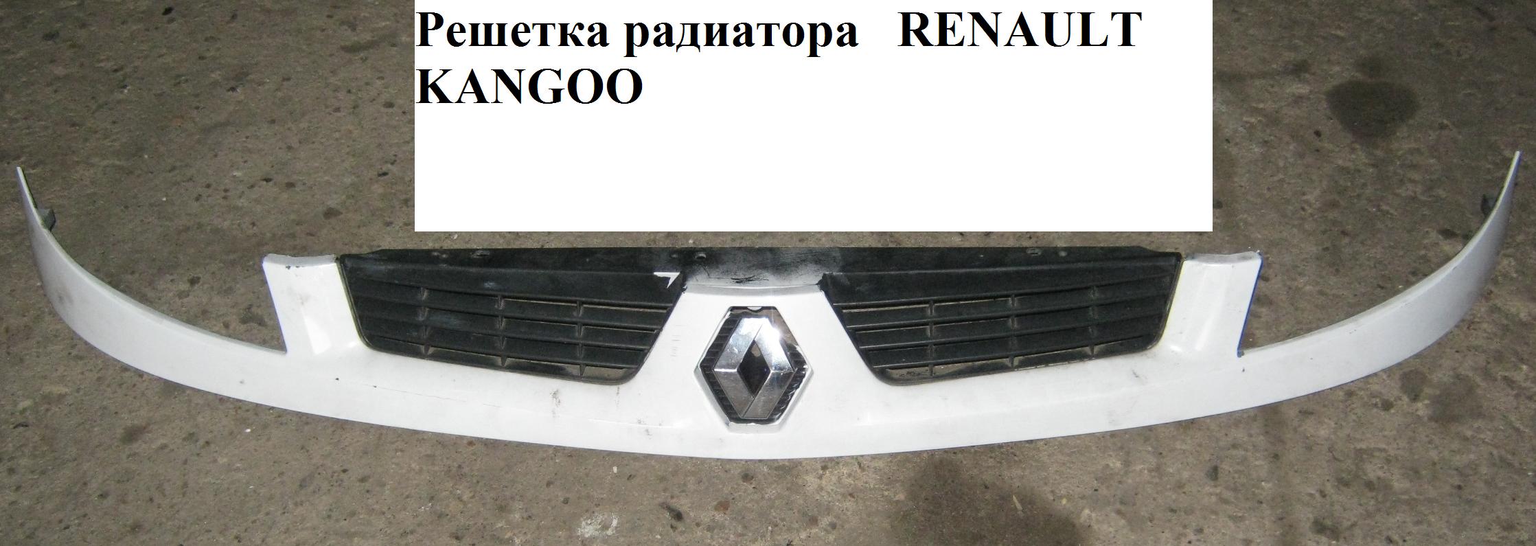 Решетка радиатора -06 RENAULT KANGOO 97-07 (РЕНО КАНГО) (7701062877, 7701062876)