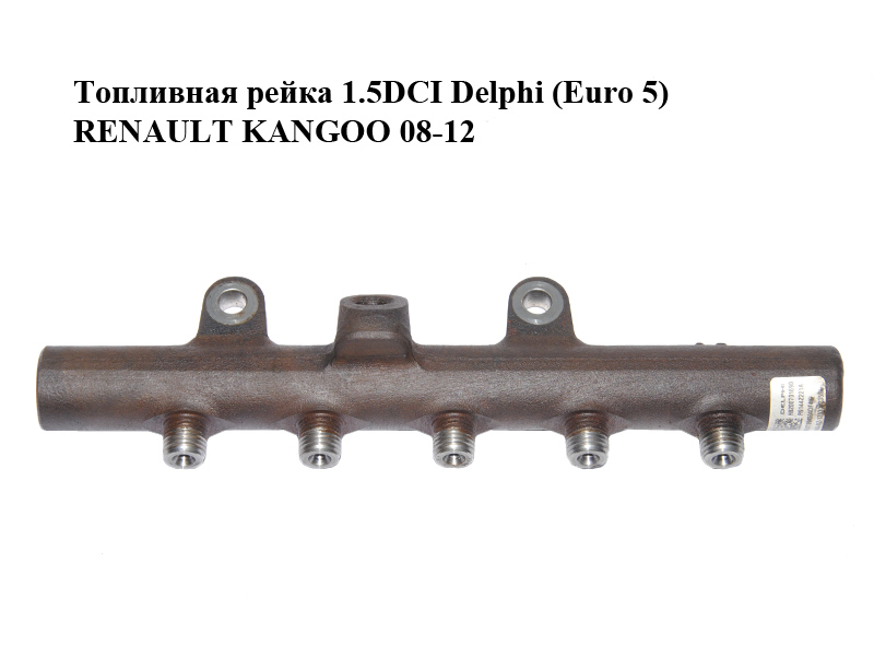Паливна рейка 1.5DCI Delphi (Euro 5) RENAULT KANGOO 08-12 (РЕНО КАНГО) (R9144Z221A, 8200701690, 8200669695, H8200701690)