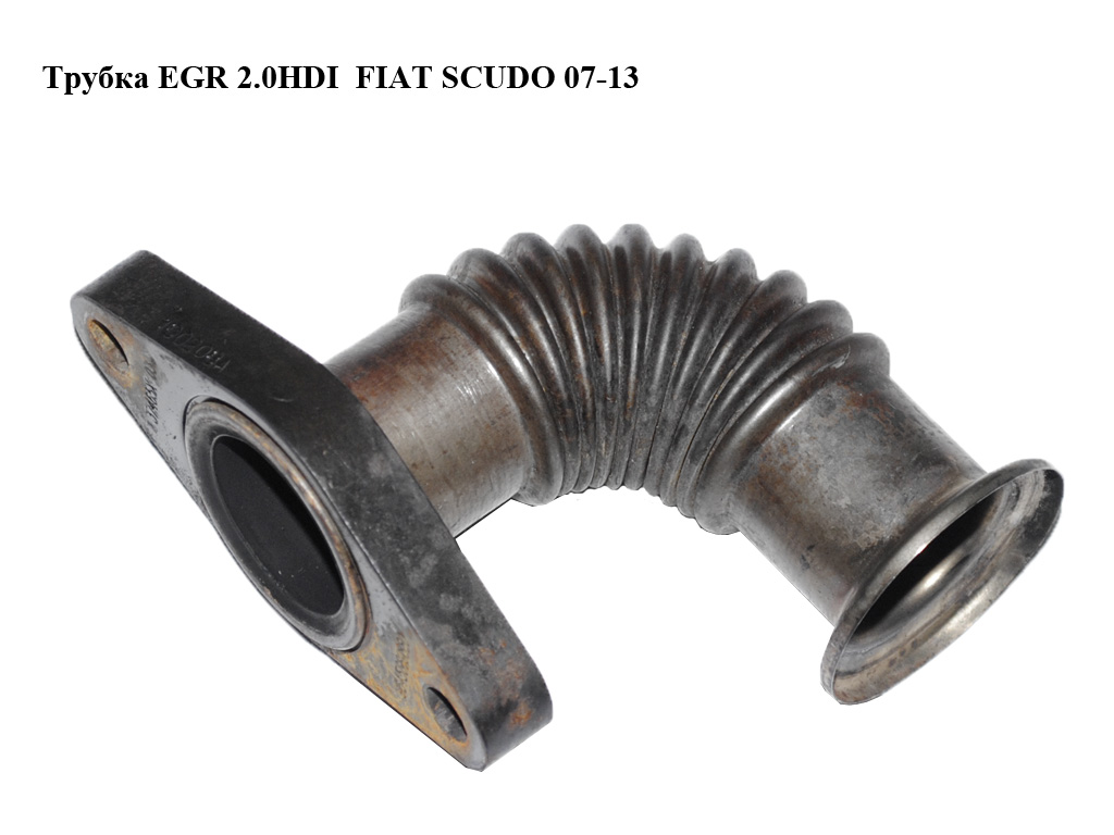 Трубка EGR 2.0HDI (радиатор EGR - коллектор выпускной) FIAT SCUDO 07-13 (ФИАТ СКУДО) (9645689880)