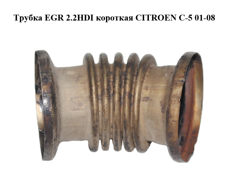 Трубка EGR 2.2HDI коротка CITROEN C-5 01-08 (СИТРОЕН Ц-5) (1628LX)