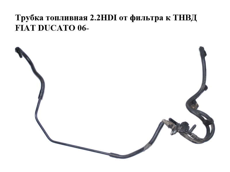 Трубка топливная 2.2HDI от фильтра к ТНВД FIAT DUCATO 06- (ФИАТ ДУКАТО) (1368779080)