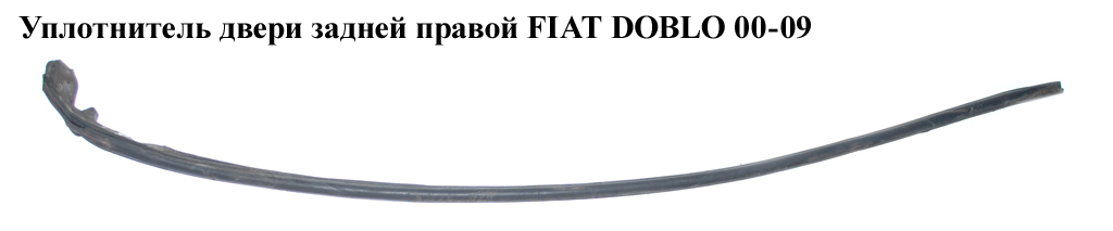 Ущільнювач двері задньої правої FIAT DOBLO 00-09 (ФИАТ ДОБЛО) (51765346)