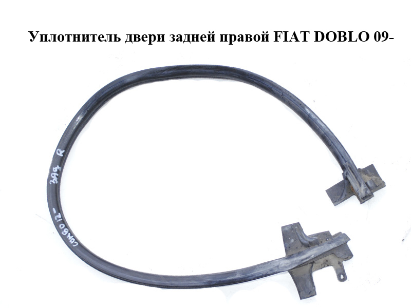 Уплотнитель двери задней правой FIAT DOBLO 09- (ФИАТ ДОБЛО) (51943952)