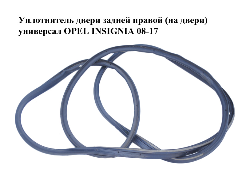 Уплотнитель двери задней правой (на двери) универсал OPEL INSIGNIA 08-17 (ОПЕЛЬ ИНСИГНИЯ) (13243032)