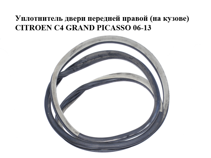 Ущільнювач дверей передніх правих (на кузові) CITROEN C4 GRAND PICASSO 06-13 (СИТРОЕН С4 ГРАНД ПИКАССО) (9024.85, 902485)