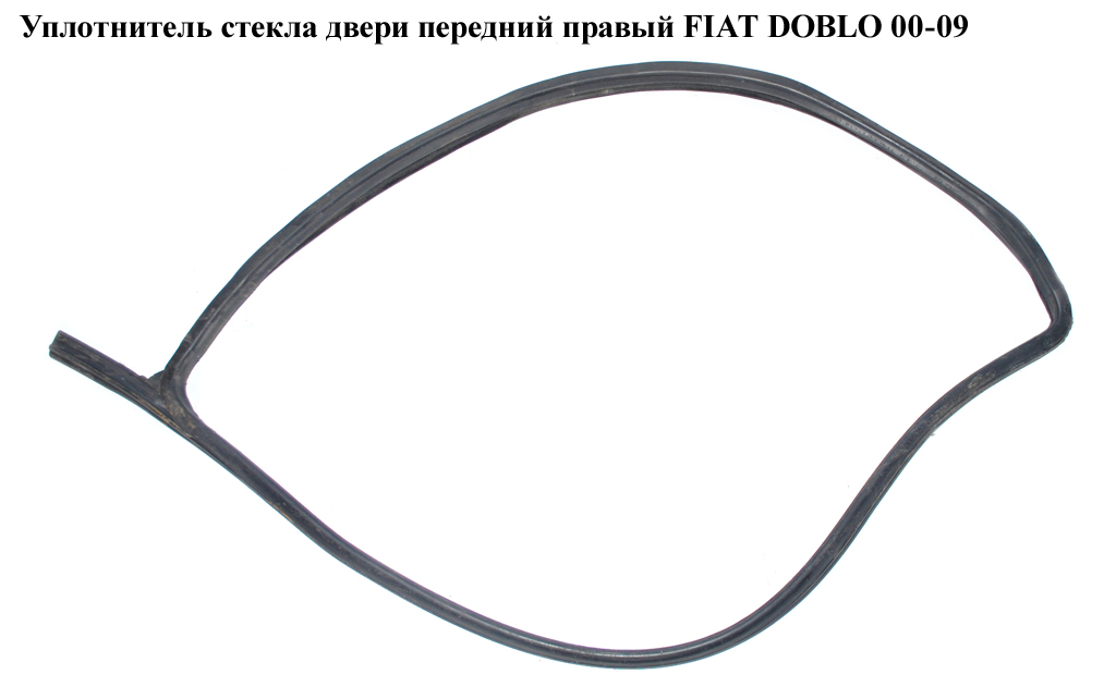 Ущільнювач скла двері передній правий FIAT DOBLO 00-09 (ФИАТ ДОБЛО) (51883272)