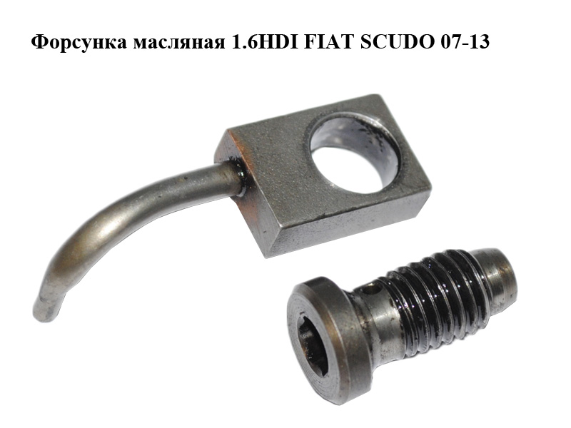 Форсунка масляная 1.6HDI FIAT SCUDO 07-13 (ФИАТ СКУДО) (9640895780)