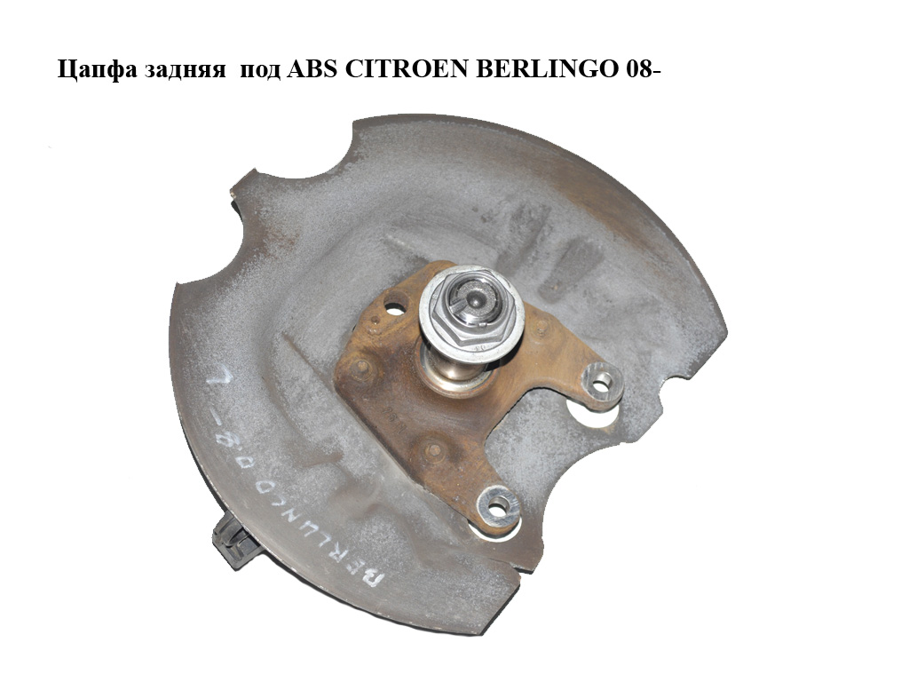 Цапфа задня під ABS CITROEN BERLINGO 08- (СИТРОЕН БЕРЛИНГО) (517637, 5176.37)