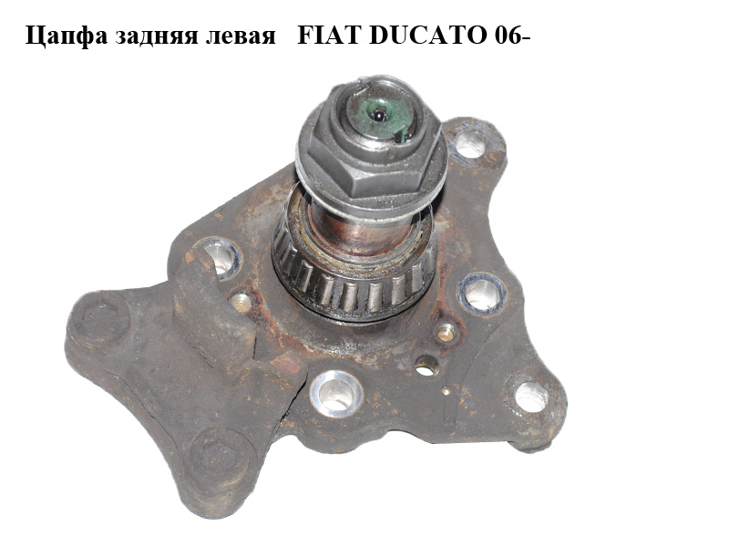 Цапфа задня ліва FIAT DUCATO 06- (ФИАТ ДУКАТО) (517657, 93502110, 5176.57)