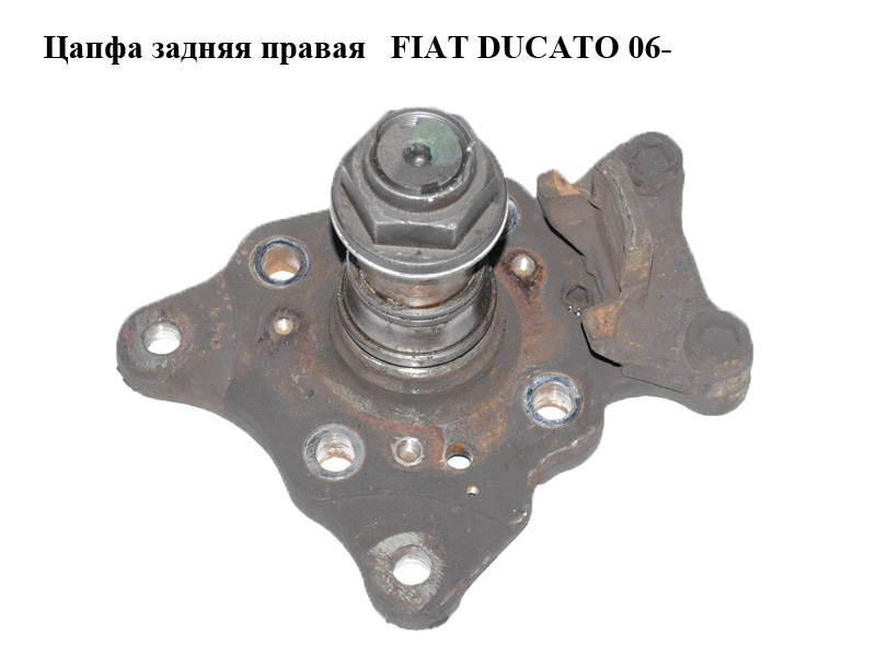 Цапфа задня права FIAT DUCATO 06- (ФИАТ ДУКАТО) (517639, 93502112)