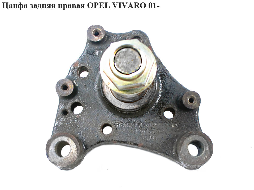Цапфа задня права OPEL VIVARO 01- (ОПЕЛЬ ВИВАРО) (4408460, 8200050016)